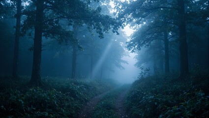 Discover an enchanting forest trail at twilight with ethereal light streaming through misty woods capturing a moment of magical serenity