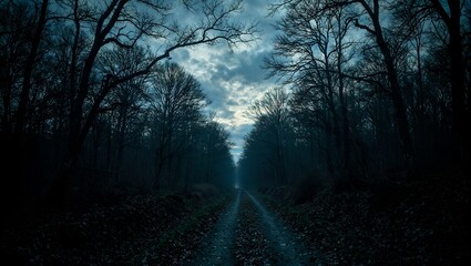 Eerie forest path under stormy sky with twisted branches and fallen leaves capturing a sense of isolation and foreboding