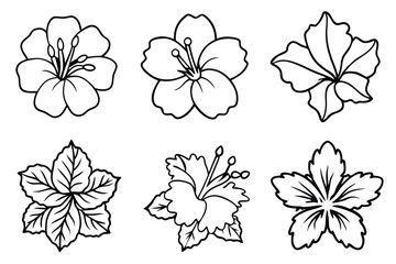 Elegant Hibiscus Floral Vector