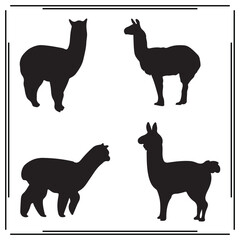Llama silhouette, Llama illustration , Llama clipart, Llama vector , Llama icon , black Llama, Llama illustration on white background,