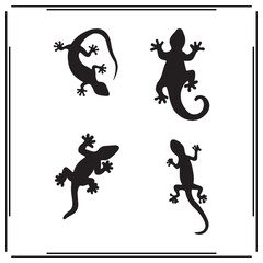 Lizard silhouette, Lizard illustration , Lizard clipart, Lizard vector , Lizard icon , black Lizard, Lizard illustration on white background,