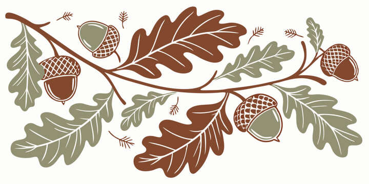 Autumn Oak Branch with Acorns Nature Illustration