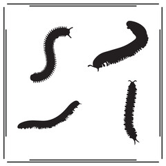 Millipede silhouette, Millipede illustration , Millipede clipart, Millipede vector , Millipede icon , black Millipede, Millipede illustration on white background,