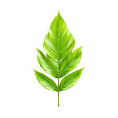 Naklejka premium Vibrant Green Tropical Leaf Isolated on a White Background