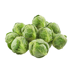 Fototapeta premium Fresh Green Brussels Sprouts for Healthy Cooking and Nutritional Dishes