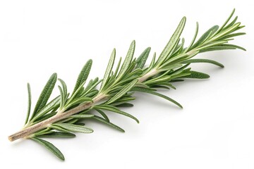 Fototapeta premium Fresh Rosemary Sprigs Isolated on White Background Culinary Herb Aromatic Plant Cooking Ingredient Natural Flavoring Mediterranean Cuisine Herbal Remedy Fragrant Leaves Green Foliage