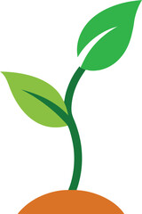 green plant isolated on white