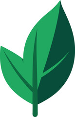 vector illustration of green leaf