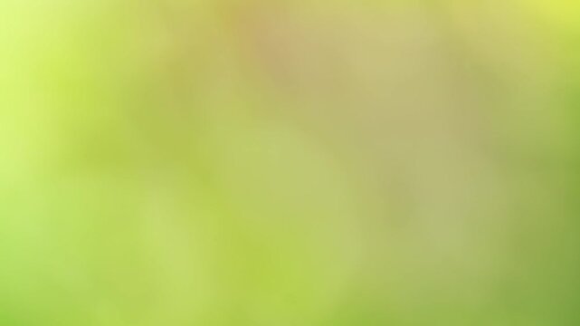 abstract green background.Color gradient animation. Moving soft blurred background. The colors vary with position, producing smooth color transitions. Abstract nature background with sun flare.