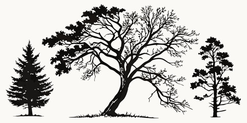tree silhouette vector