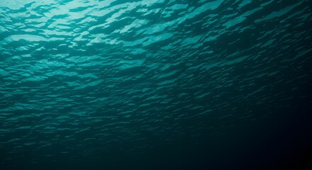 Obraz premium blue water background, Rippling Deep Blue Water Surface with Light Reflections