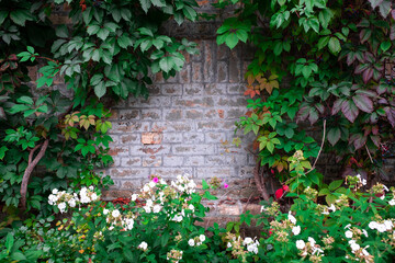 brick wall texture. bricks. brick wall