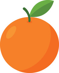 vector illustration of an orange