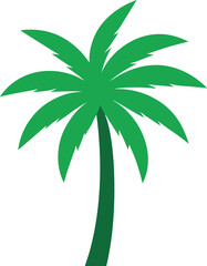 palm tree vector illustration