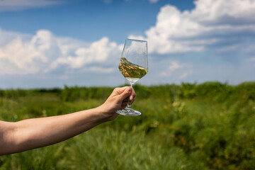 A hand holds up a wine glass filled with white wine against a backdrop of a green field and a partly cloudy blue sky, suggesting a celebratory and refreshing moment in nature.