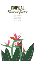 Tropical poster with exotic Bird of Paradise and leaves. Vertical layout with space for message for banner designs, event invitations, social media, or promo. Vector illustrations