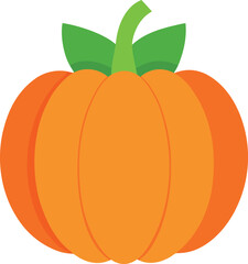 vector illustration of an orange fruit