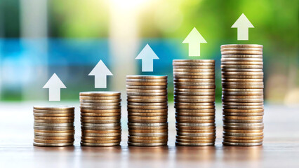 Investment Growth Strategies in Finance Analyzing Coin Stack Trends in a Natural Setting for Financial Success