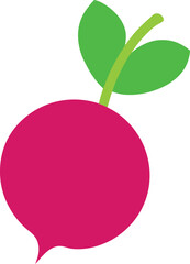 vector illustration of an radish