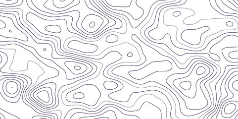 White paper wave curve relief geometric wave grid line background. . Abstract wavy topographic map and curved lines background. Vector illustration.