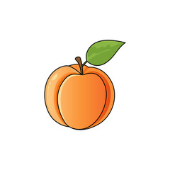 Apricot. Icon for design on blank background, Apricot fruit with half slice and leaves isolated on transparent white background.