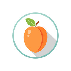 Apricot. Icon for design on blank background, Apricot fruit with half slice and leaves isolated on transparent white background.
