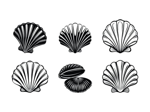 Seashell icon set including clam and scallop shells silhouette isolated on white background