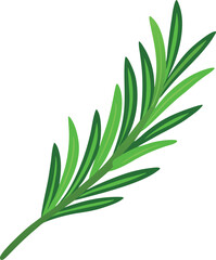 aloe vera isolated on white