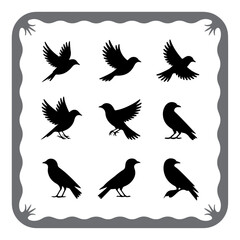 Silhouette Birds for Graphic Design