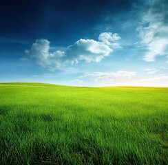 Fototapeta premium Serene meadow under blue sky. Perfect for relaxation-themed designs or environmental materials. Represents peace, natural harmony, and escape from urban chaos.