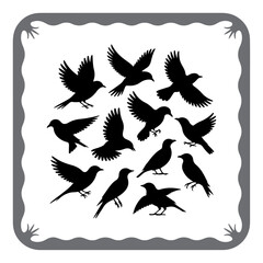 Elegant Bird Silhouettes Collection