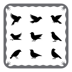 Flying and Perched Bird Vector Set