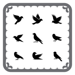Elegant Bird Silhouettes Collection