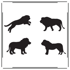 Lion silhouette, Lion illustration , Lion clipart, Lion vector , Lion icon , black Lion, Lion illustration on white background,