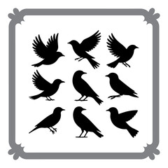 Silhouetted Bird Illustrations