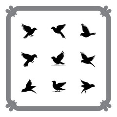 Birds in Flight and Rest – Graphic Set