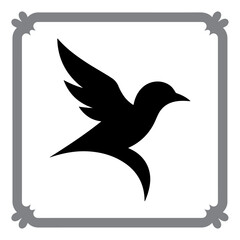 Fototapeta premium Flying Birds and Perch Poses Collection