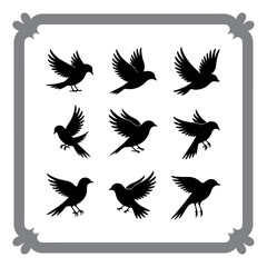 Flying Birds and Perch Poses Collection