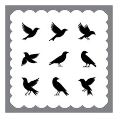 Abstract Bird Set – Vector Silhouettes