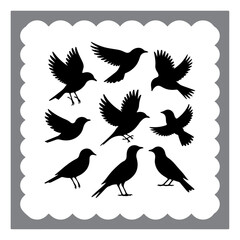 Silhouetted Bird Illustrations