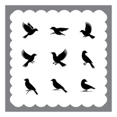 Silhouetted Bird Illustrations