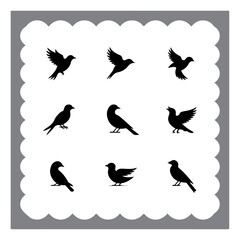 Nature-Inspired Bird Vector Shapes