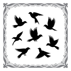 Obraz premium Avian Silhouettes for Print and Web