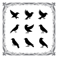 Bird Life in Minimalist Form