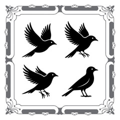 Fototapeta premium Silhouette Compilation of Wild Birds