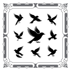 Classic Bird Shapes for Digital Art