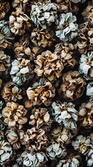 Dried Flowers Texture Background Botanical Pattern
