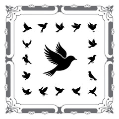 Black Bird Vector Elements Collection