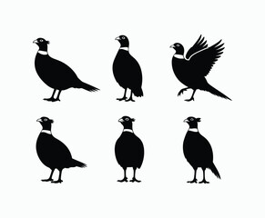 Fototapeta premium Simple Ring Necked Pheasant Silhouette EPS Template on a White Background