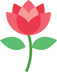 red tulip with a heart